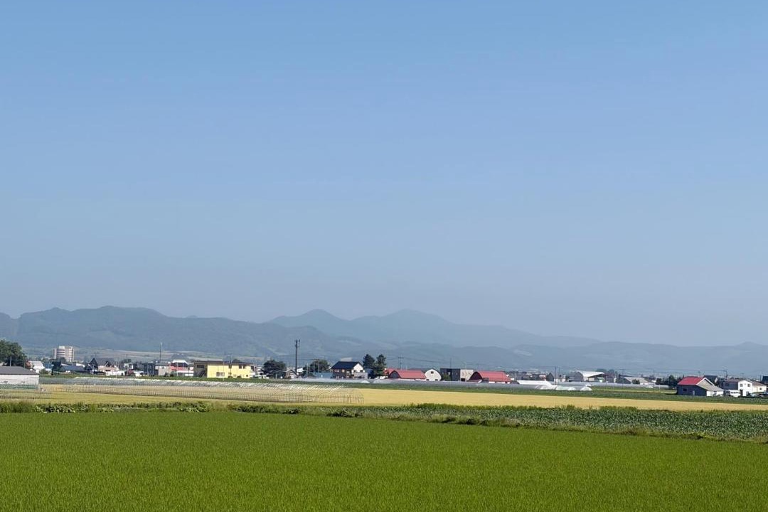 Photo of Others in Furano
