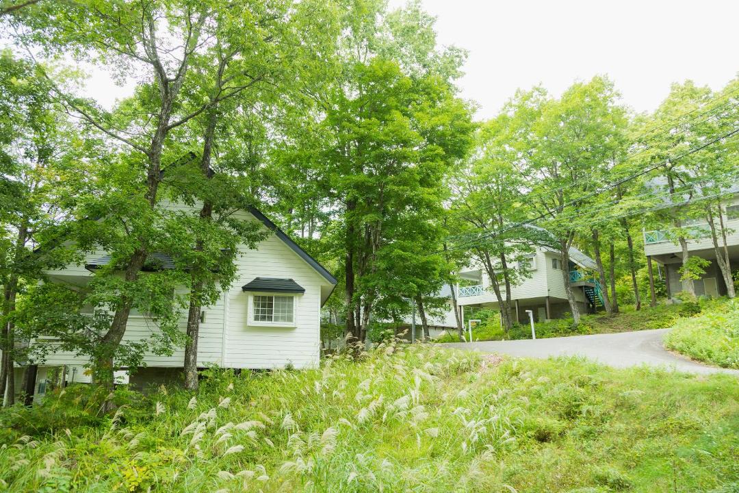 Photo of Others in Hakusan National Park