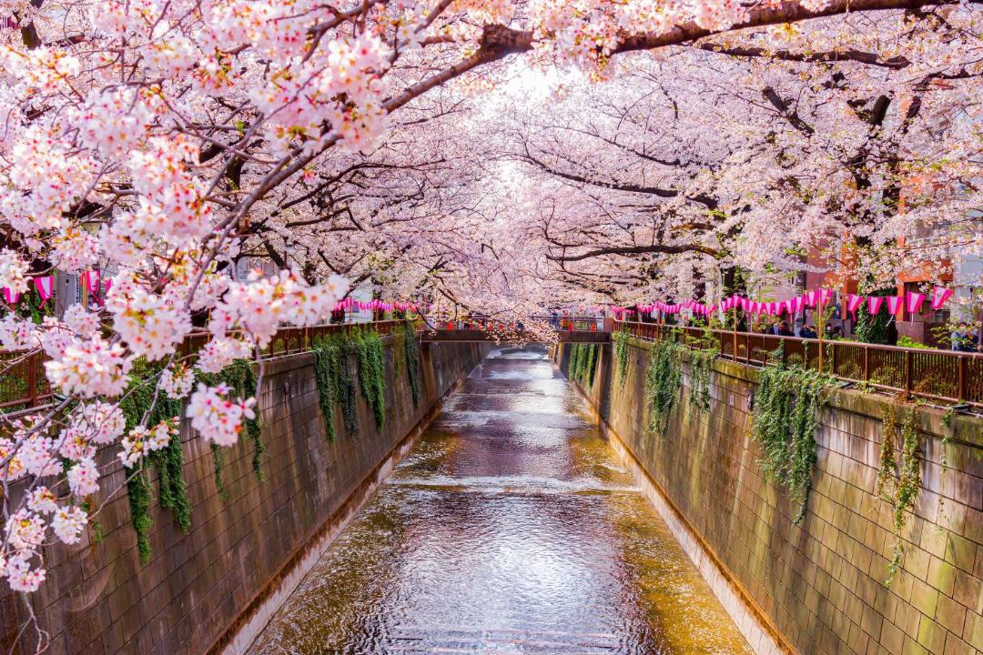 Photo of Others in Ebisu