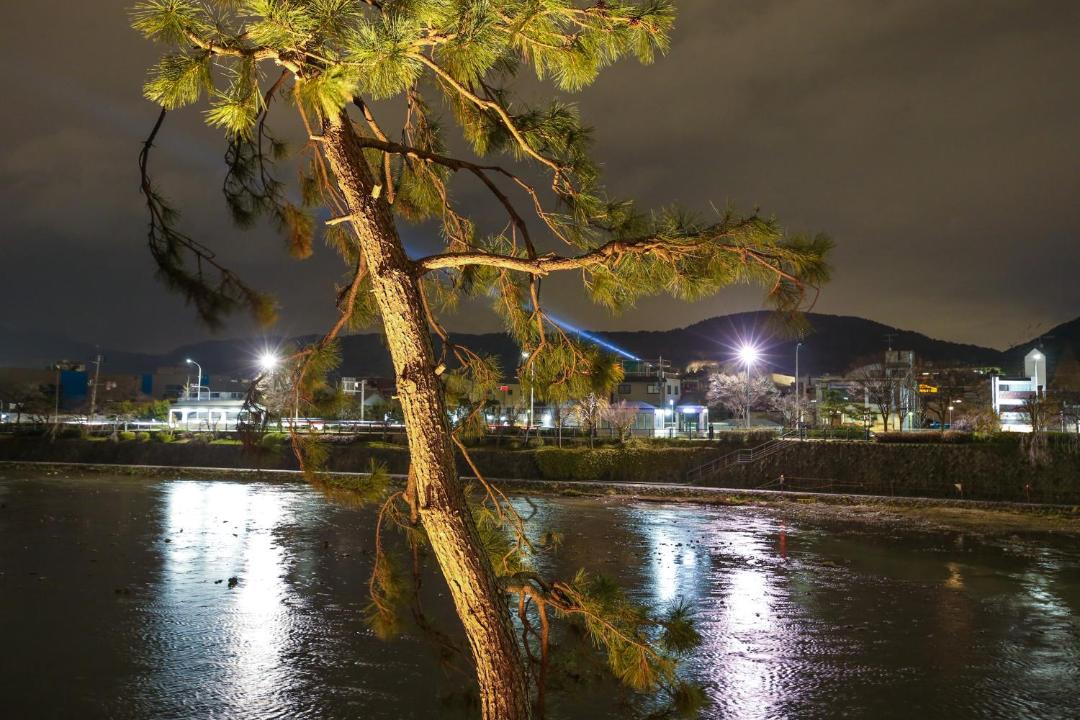 Photo of Others in Shimogyo