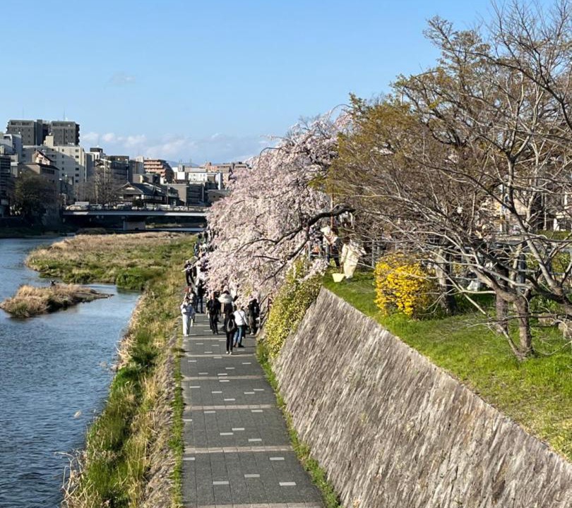 Photo of Others in Shimogyo