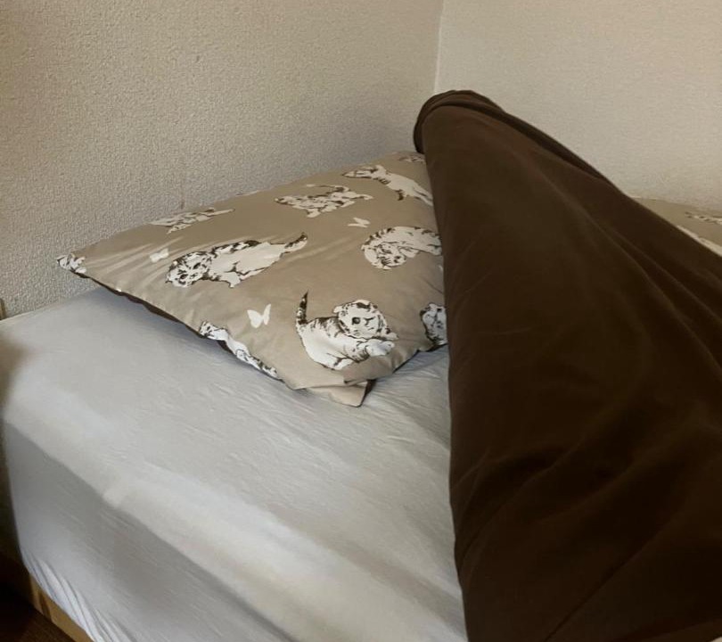 Photo of Bedroom in Sawara-ku