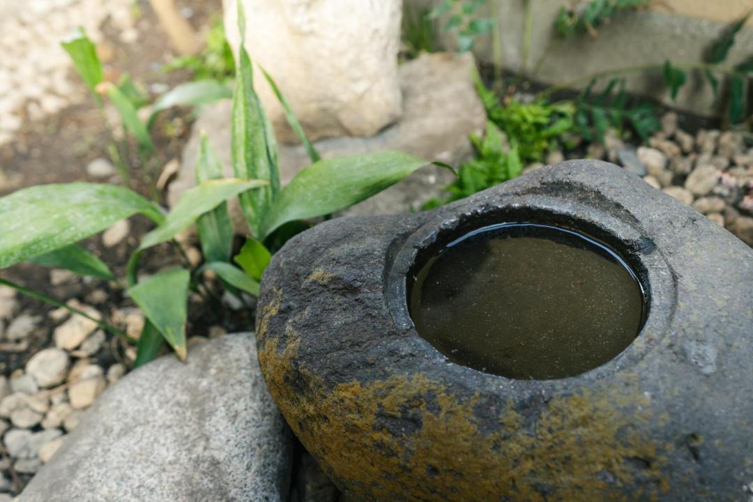 Photo of Others in Kamakura