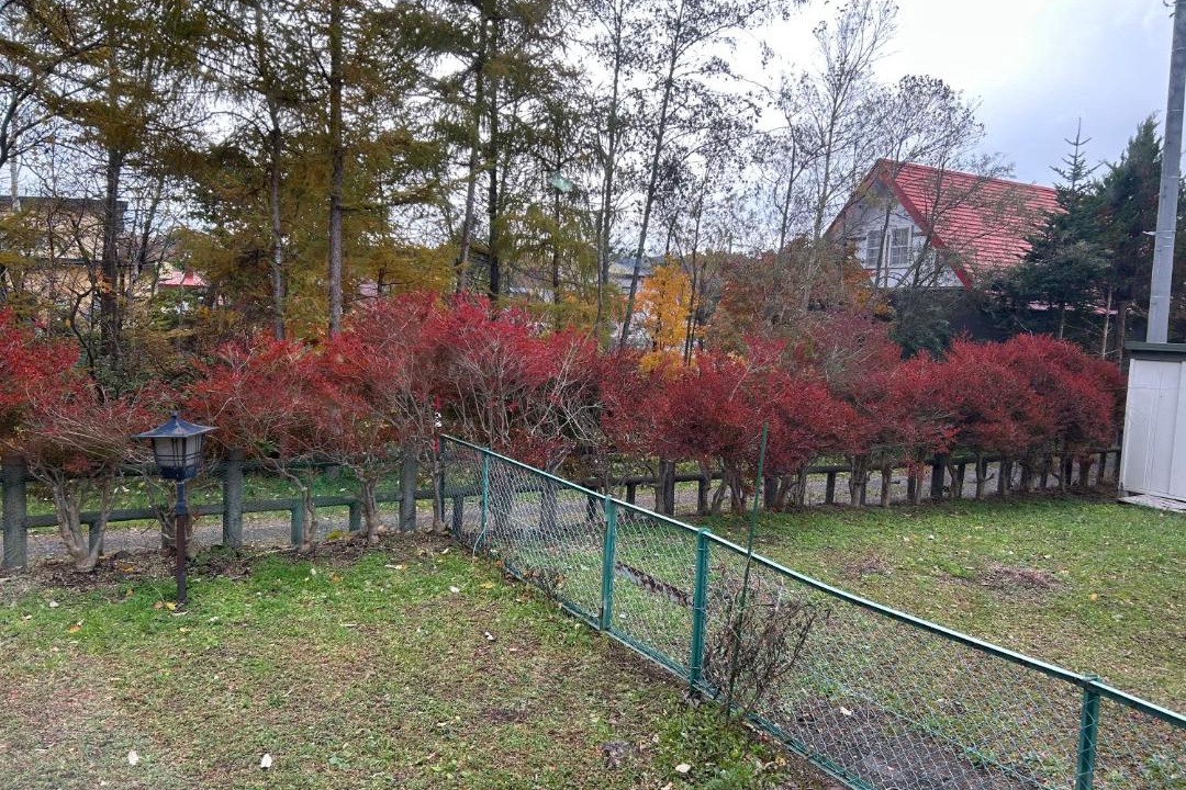 Photo of Others in Nanae