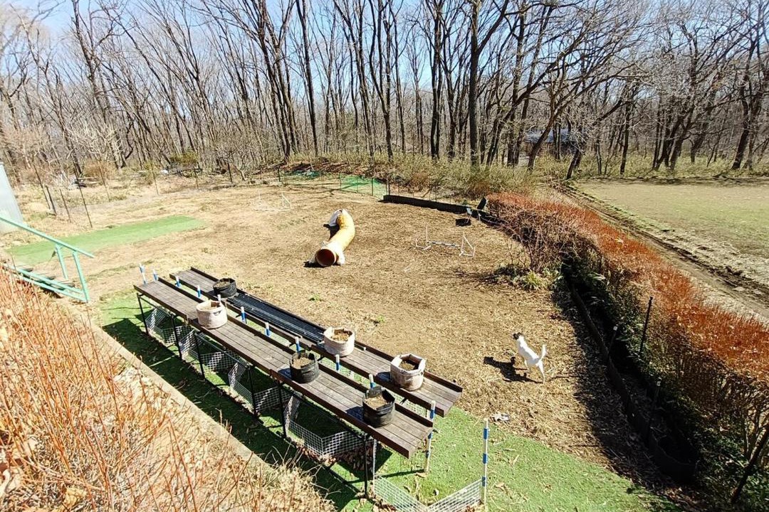 Photo of Others in Nasu