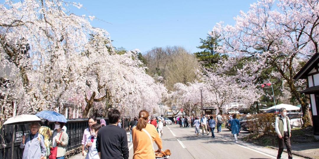 Photo of Others in Samurai District