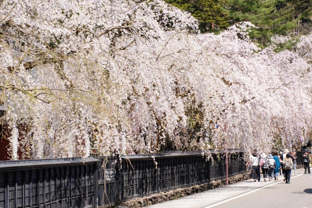 Photo of Others in Samurai District