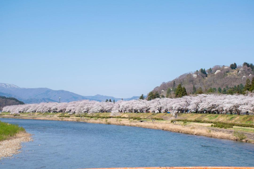 Photo of Others in Samurai District