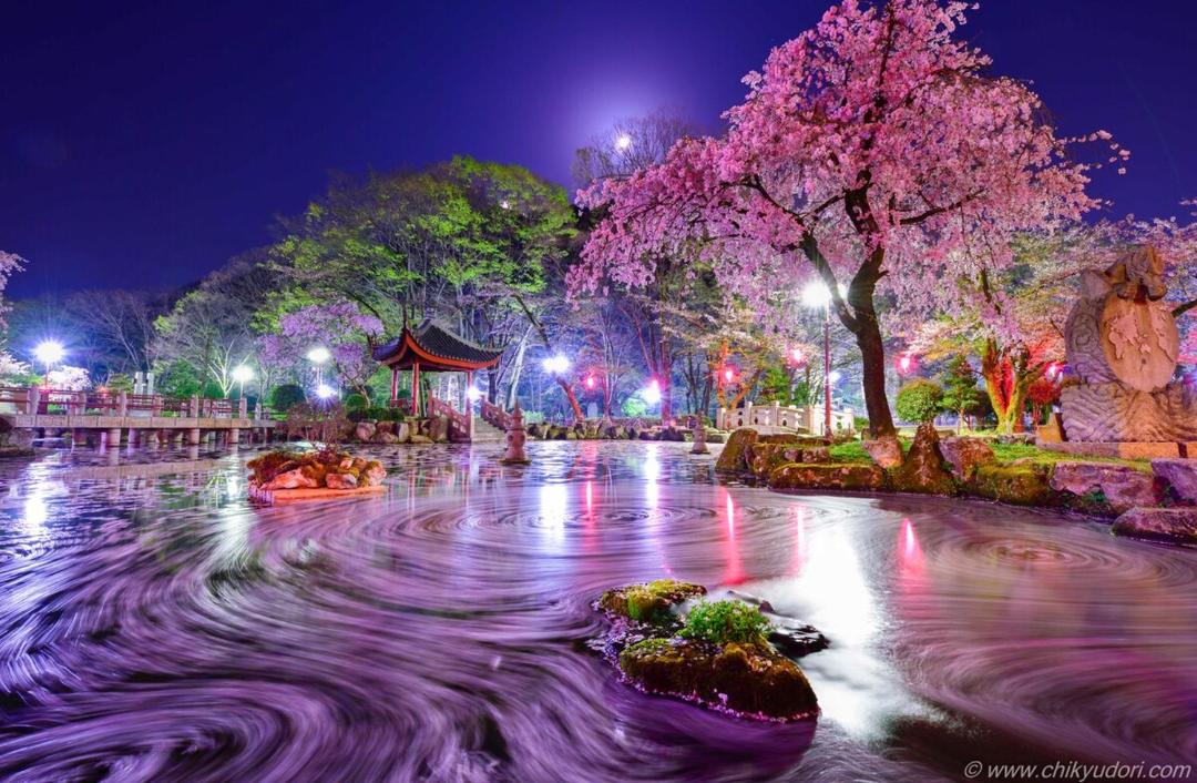 Photo of Others in Gifu