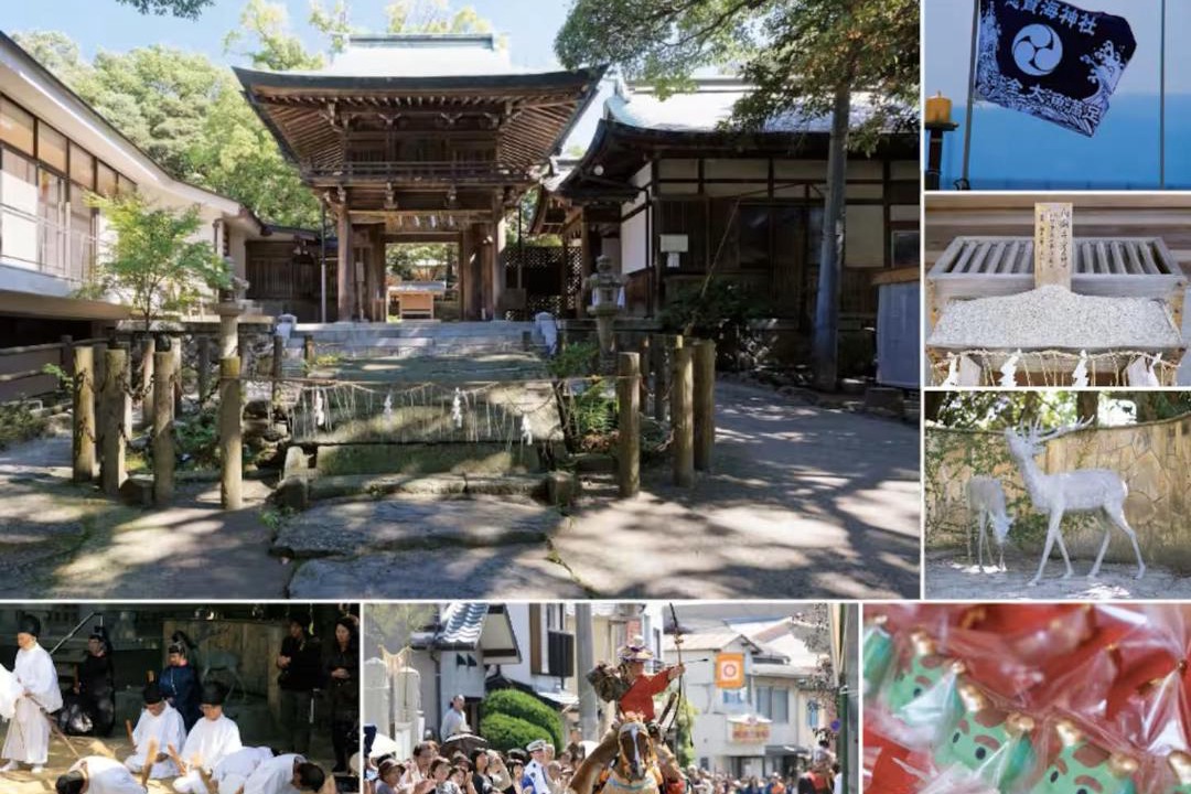 Photo of Others in Higashi-ku