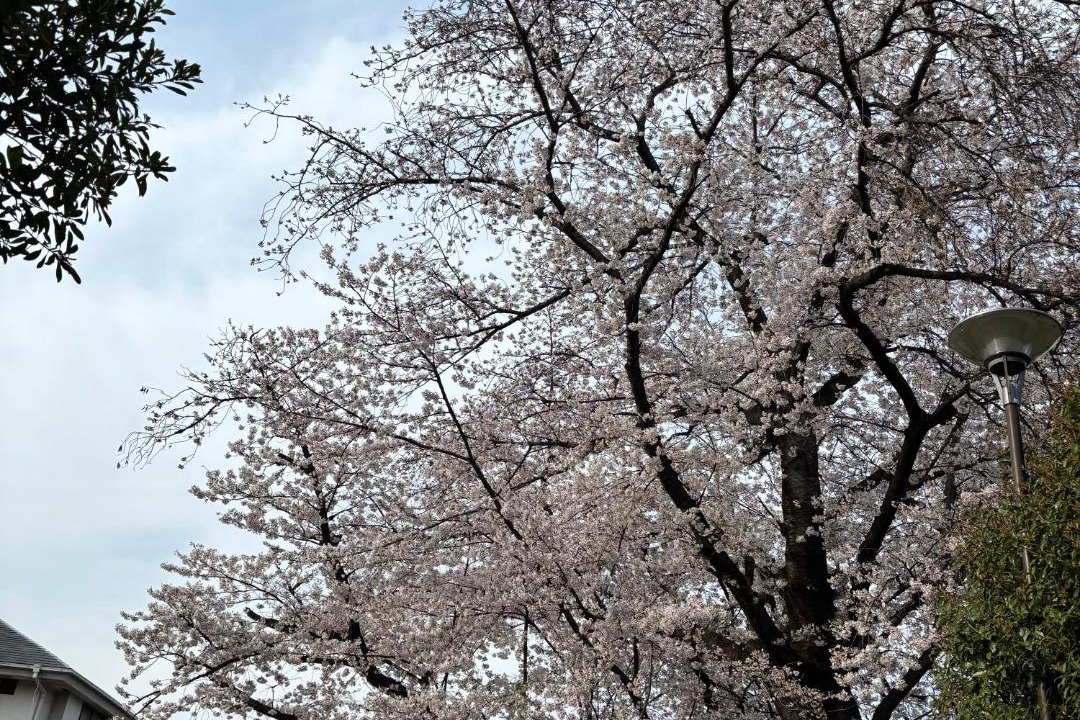 Photo of Others in Kamitakada