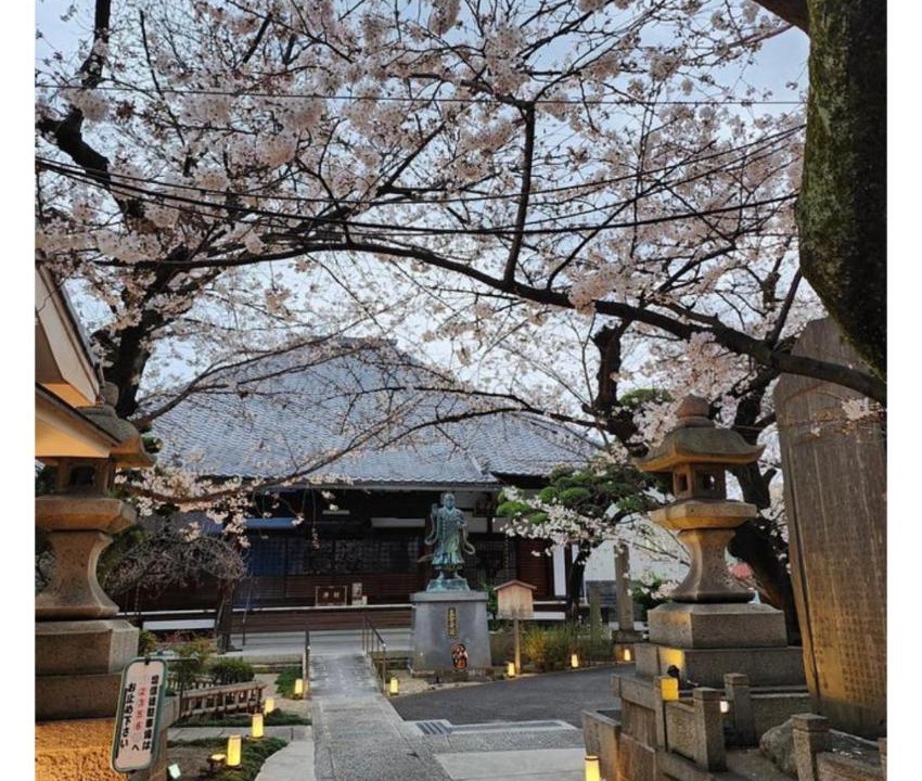 Photo of Others in Fushimi
