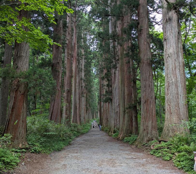 Photo of Others in Nagano