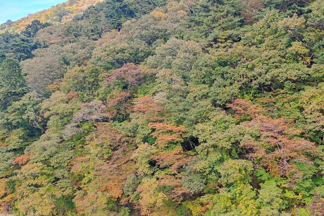 Photo of Others in Shiobara-machi