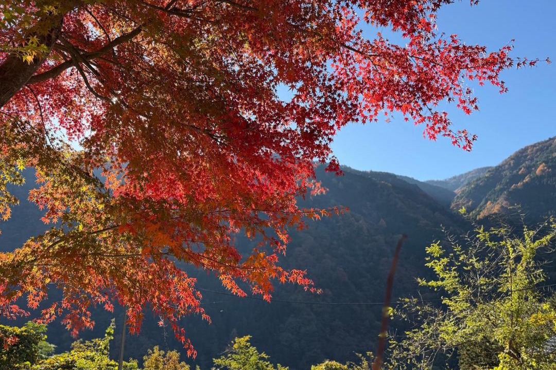 Photo of Others in Fujikawa