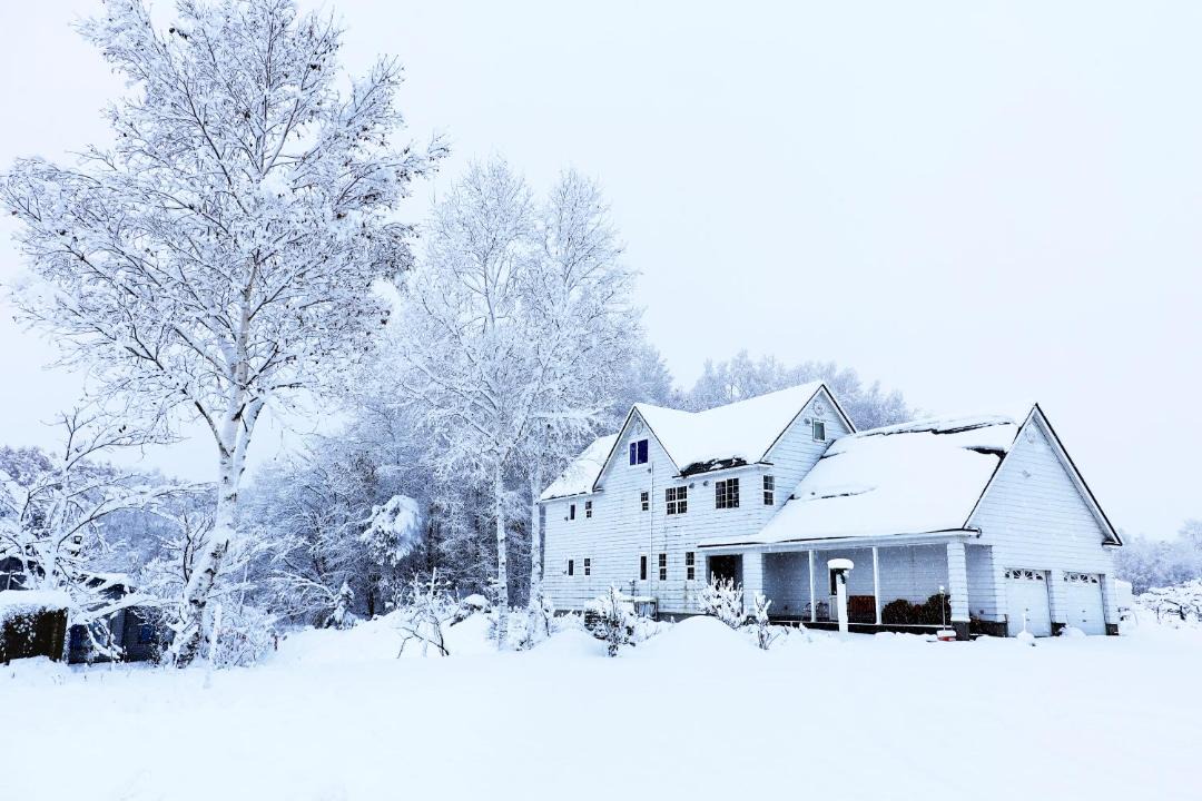 Photo of Others in Asahikawa