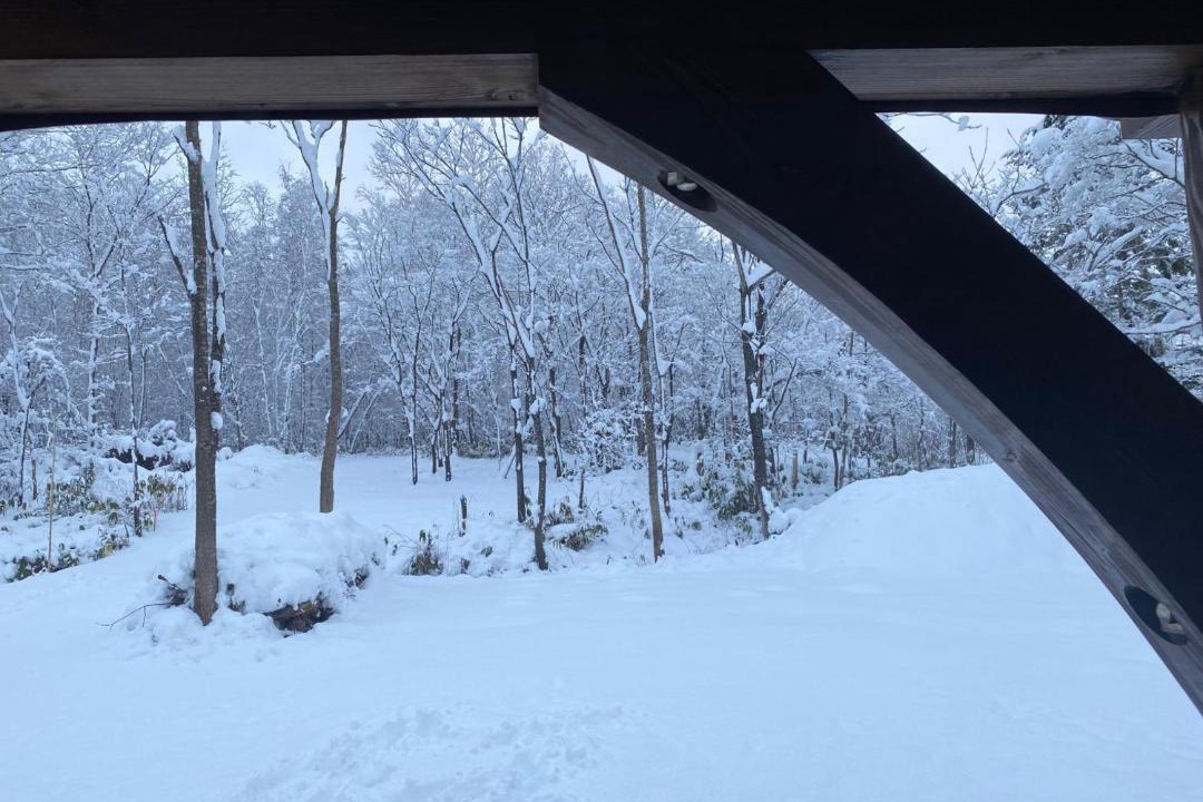 Photo of Others in Niseko