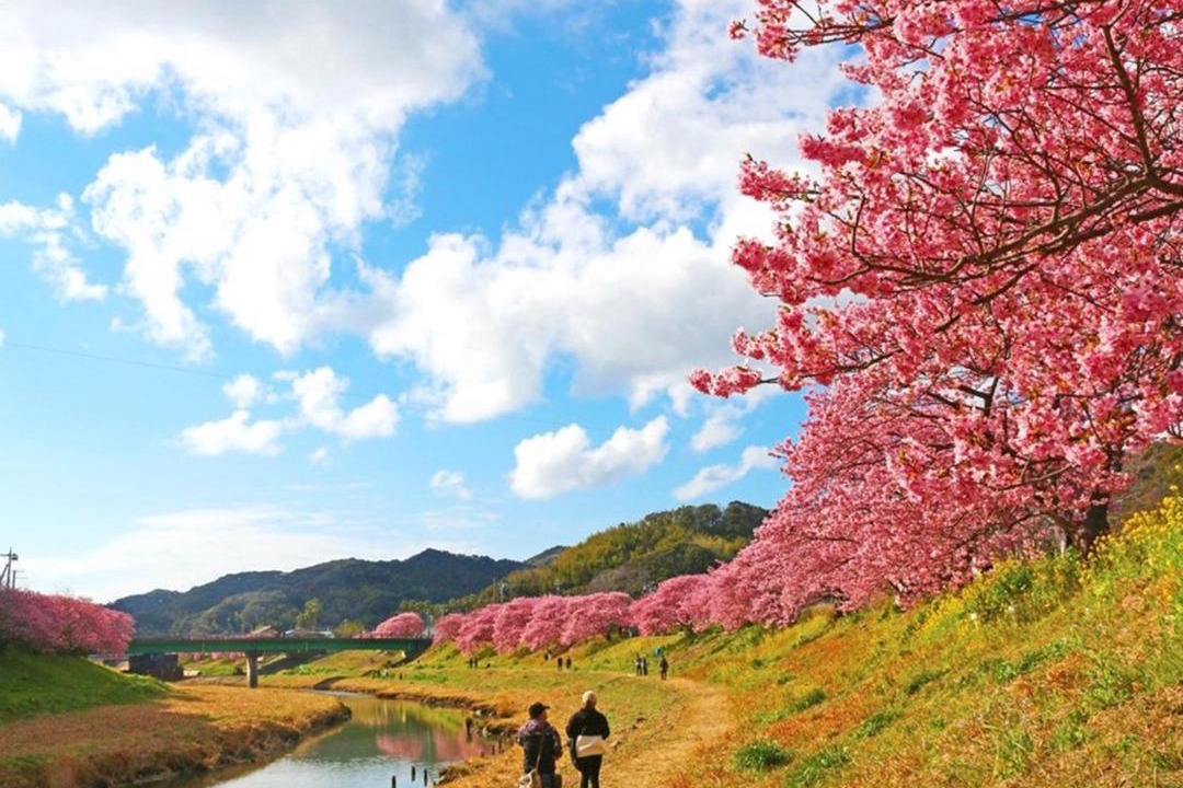 Photo of Others in Shirahama
