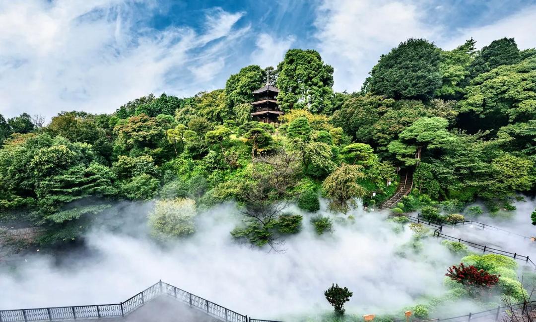 Photo of Others in Sendagi