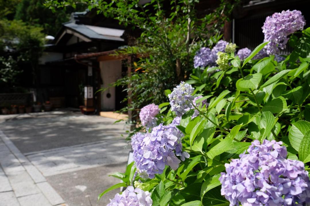 Photo of Others in Minobu