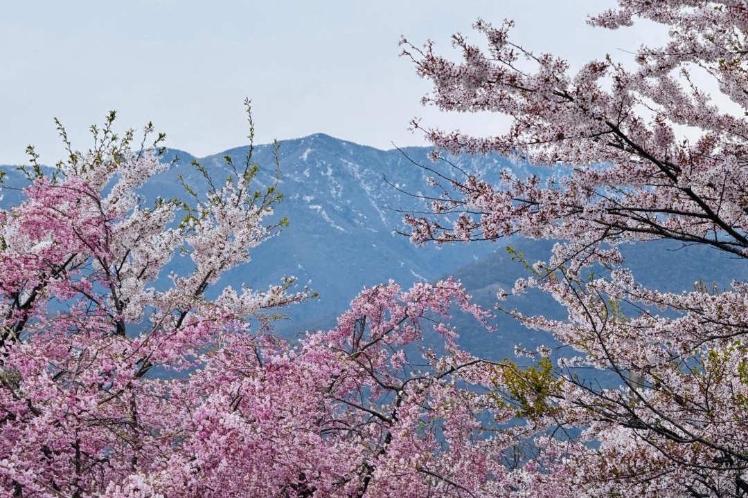 Photo of Others in Nasu