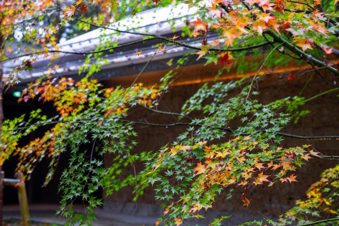 Photo of Others in Nikko
