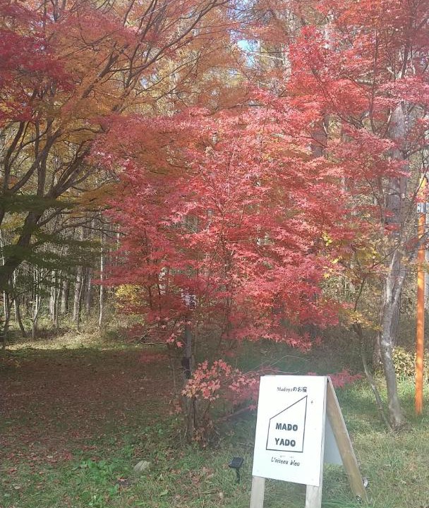 Photo of Others in Nagano
