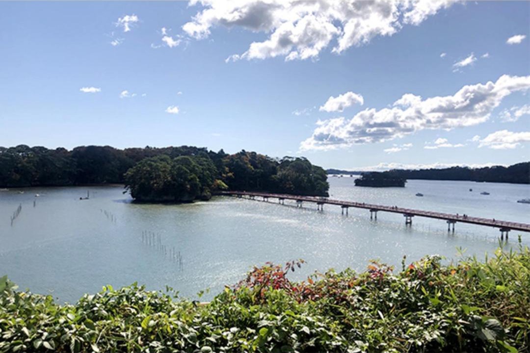 Photo of Others in Matsushima