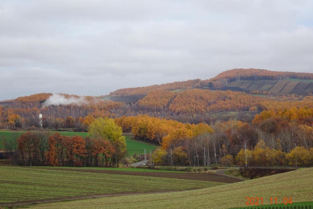 Photo of Others in Biei