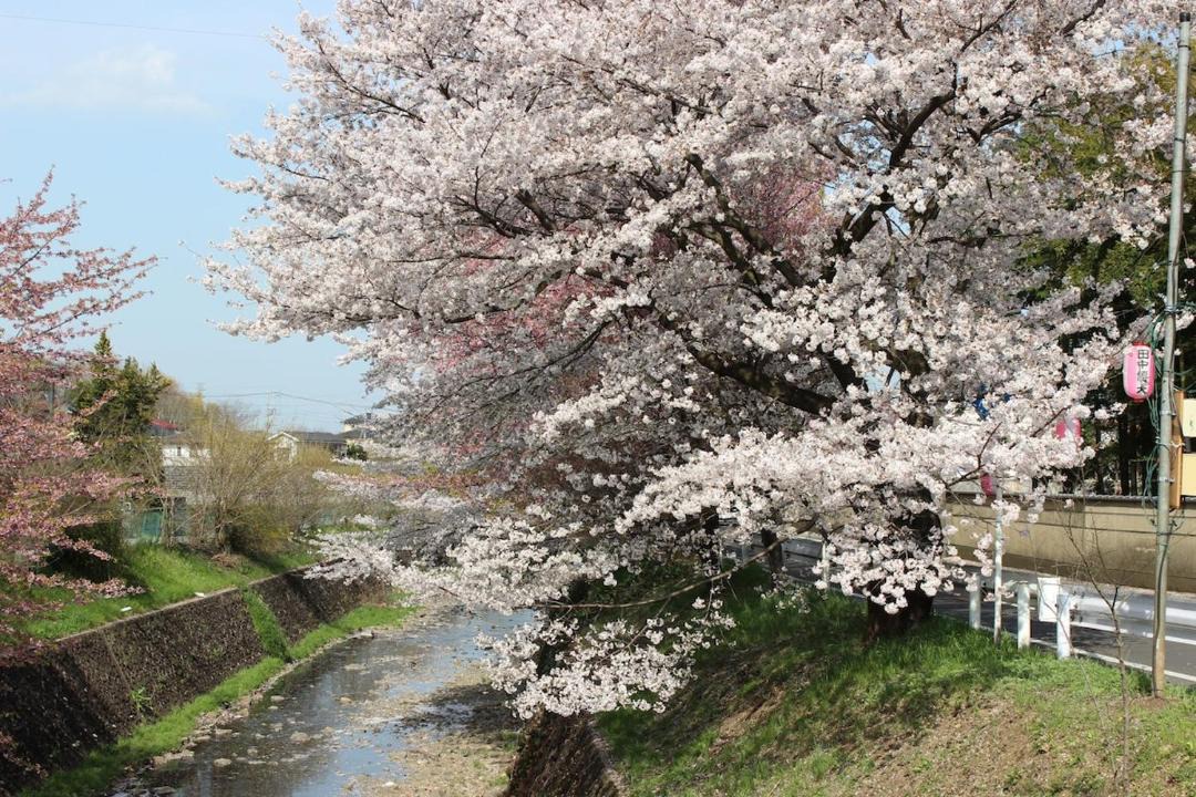 Photo of Others in Tokorozawa