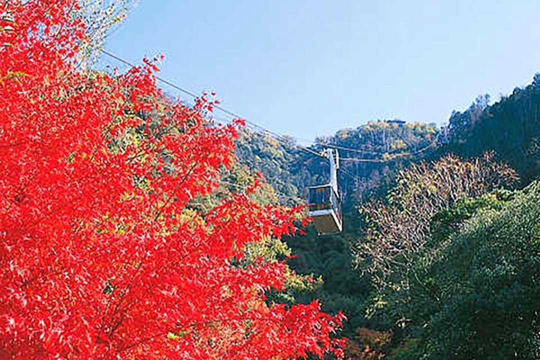 Photo of Others in Gifu