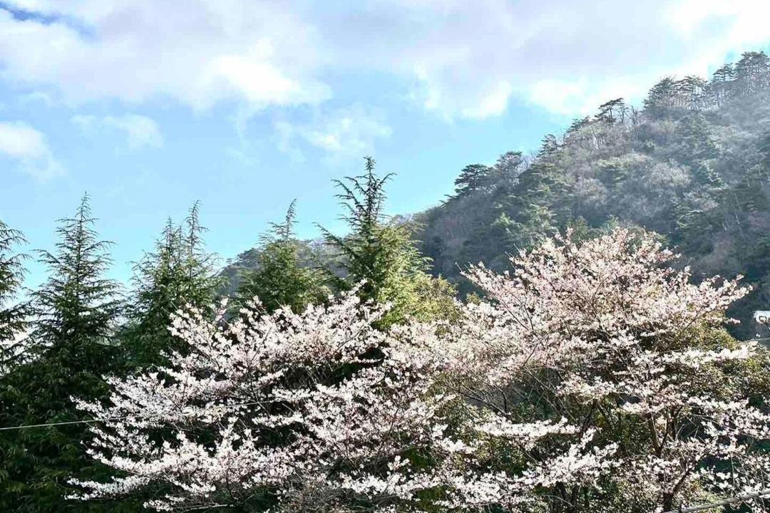 Photo of Outdoor in Kinugawa Onsen