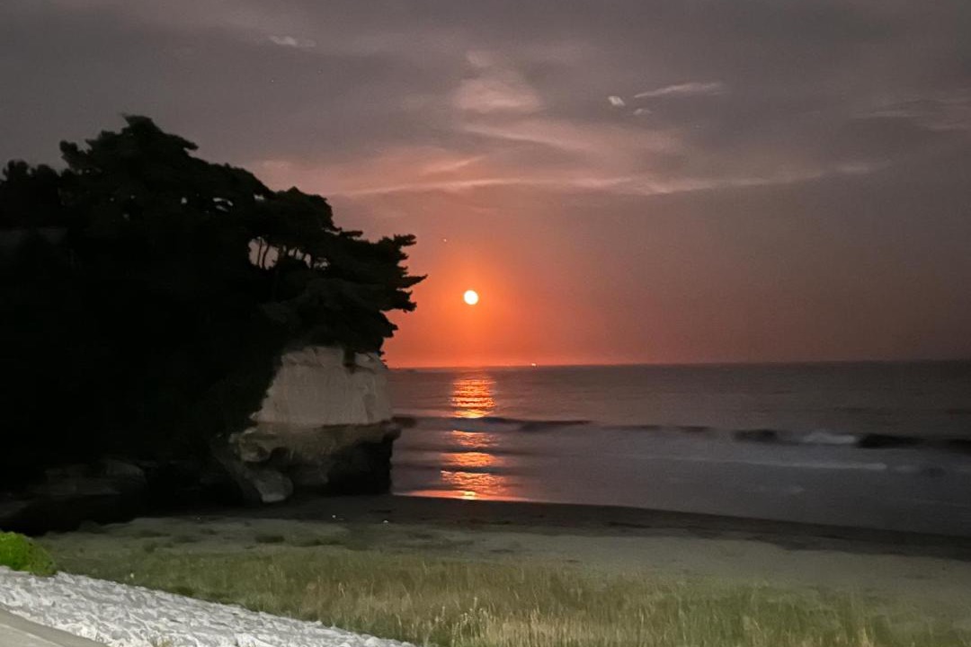 Photo of Others in Shichigahama