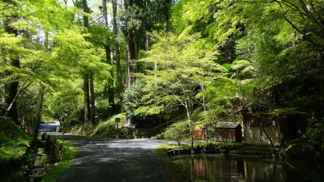 Photo of Others in Shiono Onsen