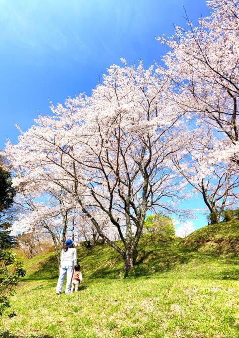 Photo of Others in Fukuchiyama