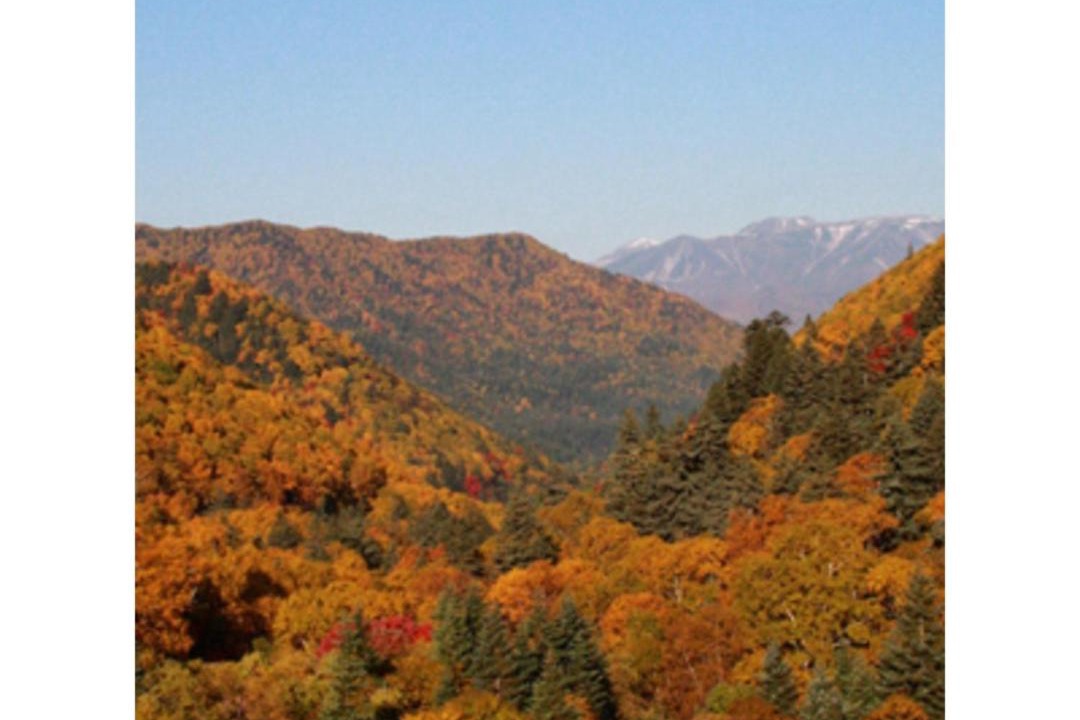 Photo of Others in Kamikawa