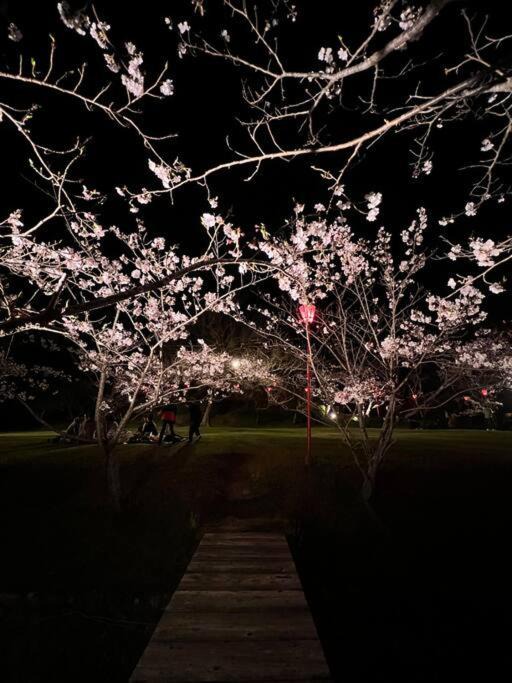 Photo of Others in Shirahama