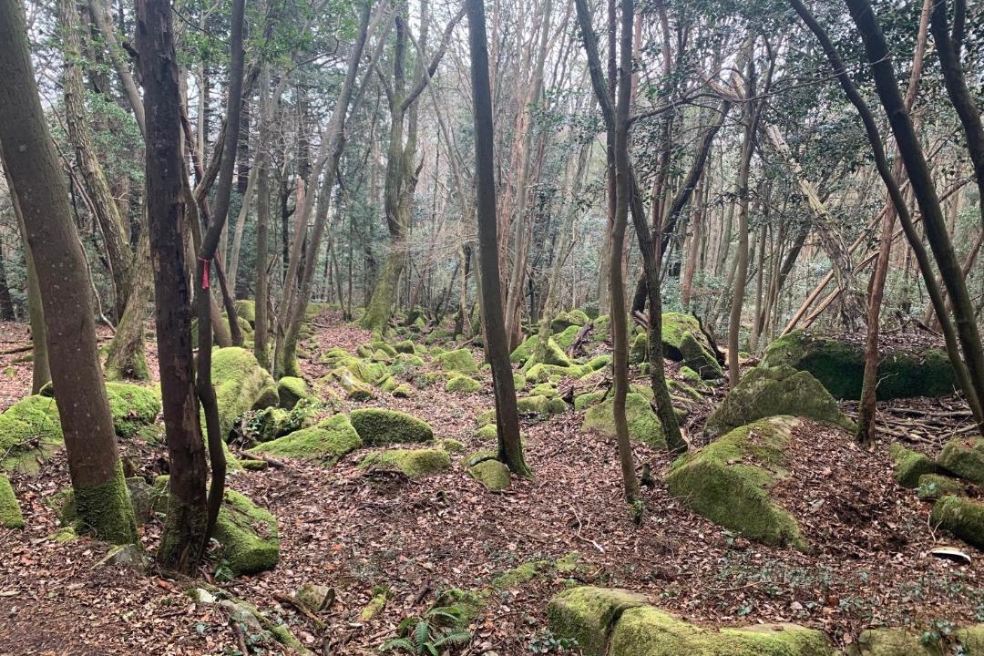 Photo of Others in Kure