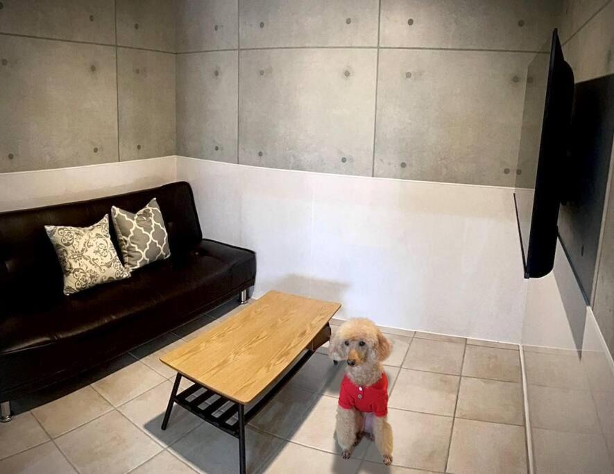 Photo of Livingroom in Taketomi-jima Taketomi-cho