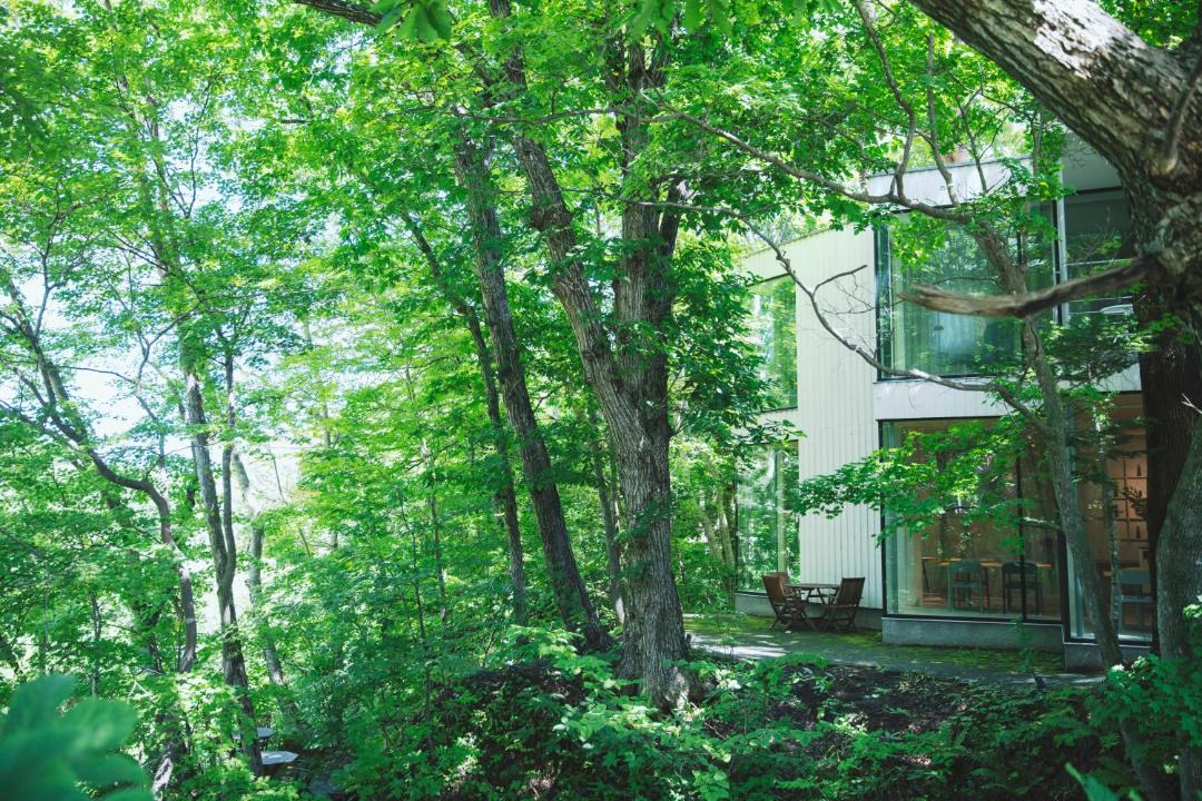 Photo of Others in Minami