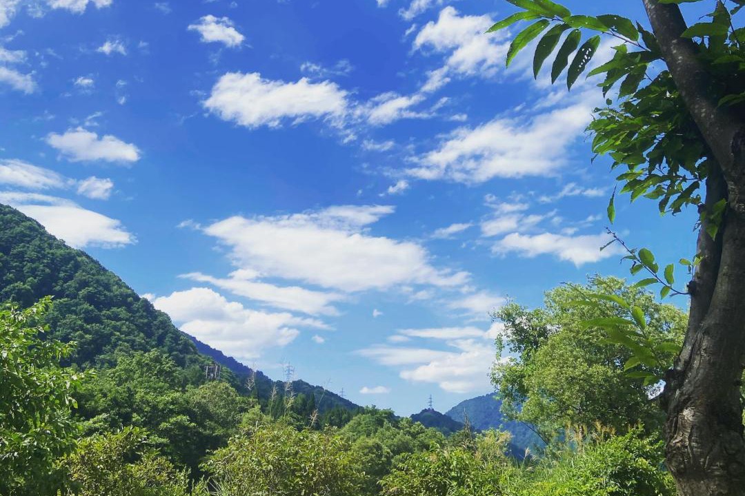 Photo of Others in Yuzawa