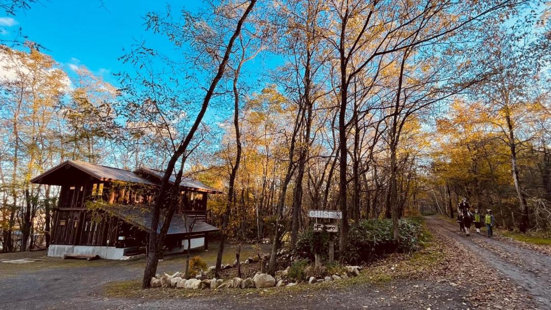 Photo of Others in Furano
