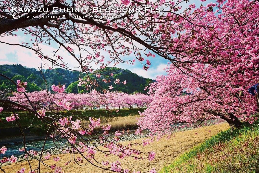 Photo of Others in Kawazu
