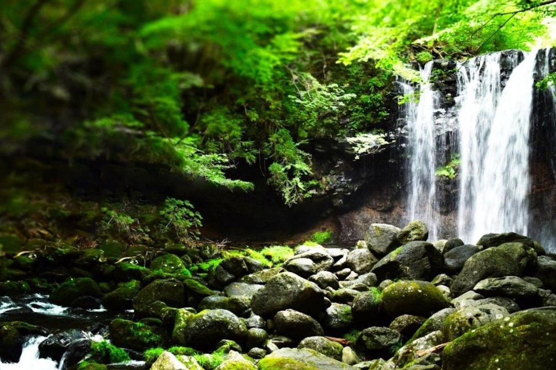 Photo of Others in Shiobara-machi
