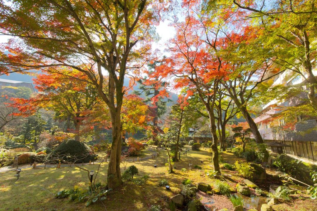 Photo of Others in Yumoto