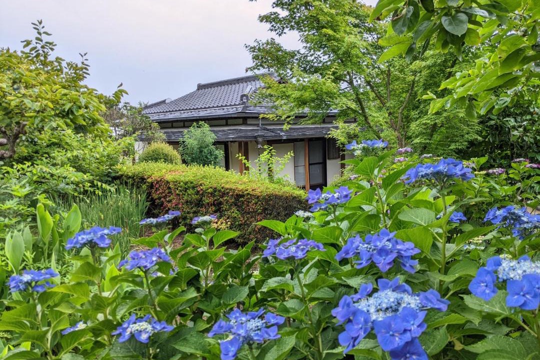 Photo of Others in Kurume