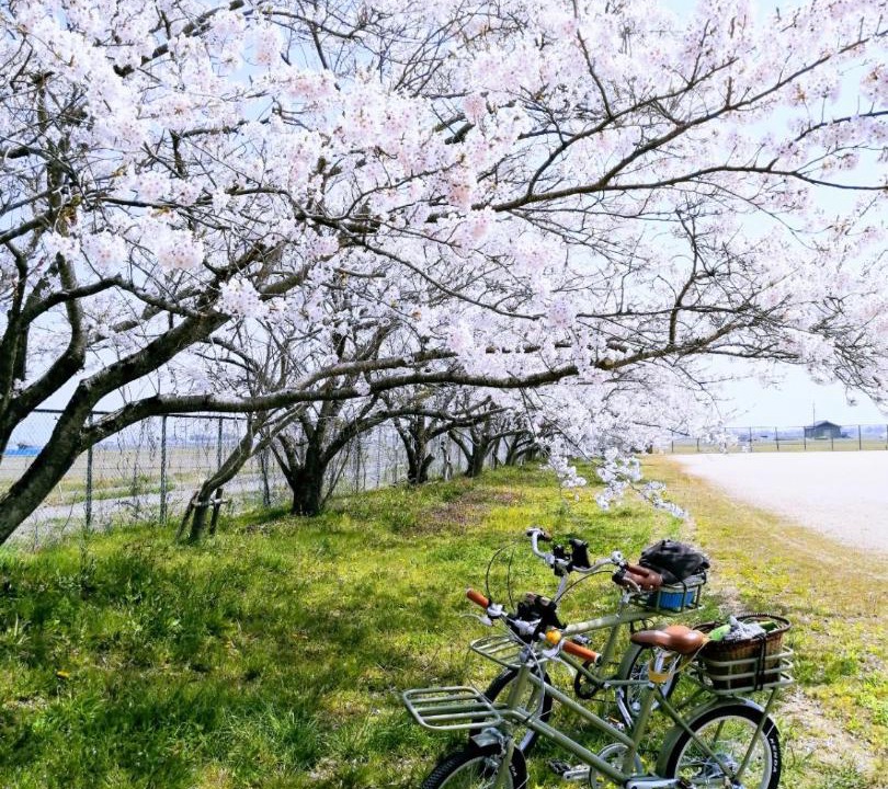 Photo of Others in Shiga Prefecture