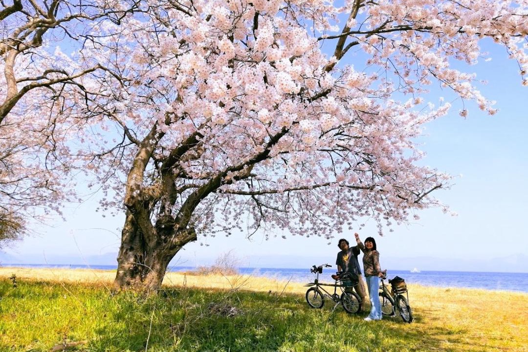 Photo of Others in Shiga Prefecture