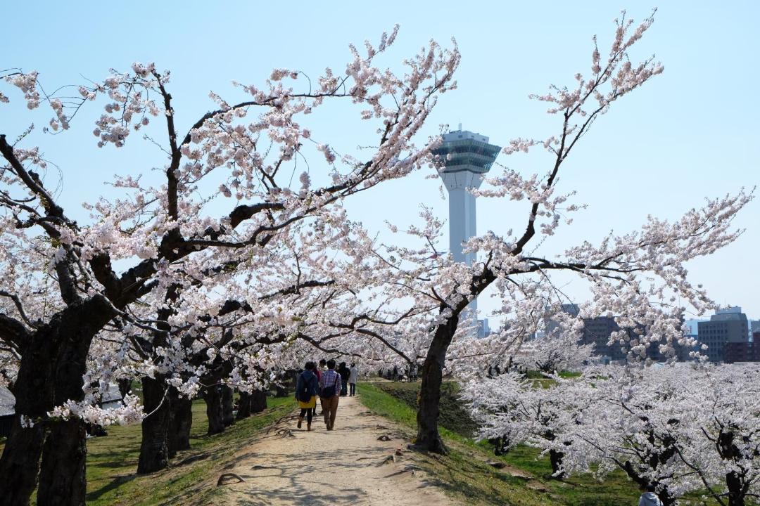 Photo of Others in Hakodate