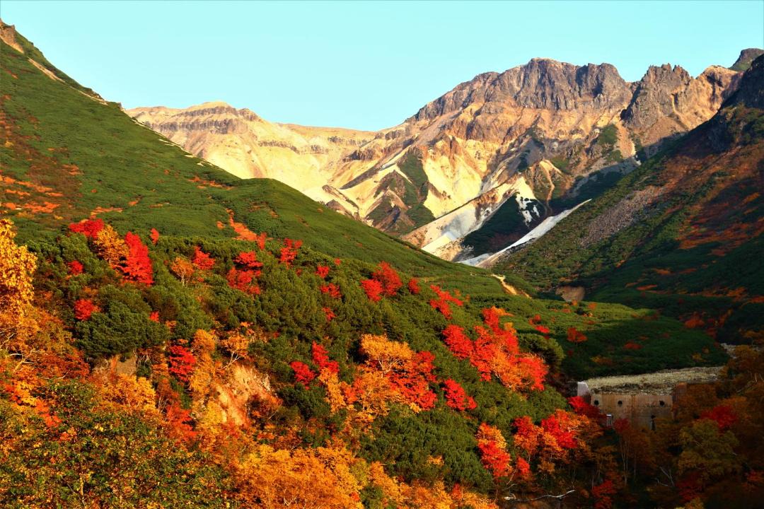 Photo of Others in Nakafurano